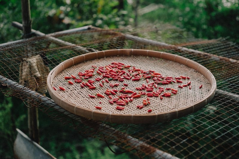Thai spices